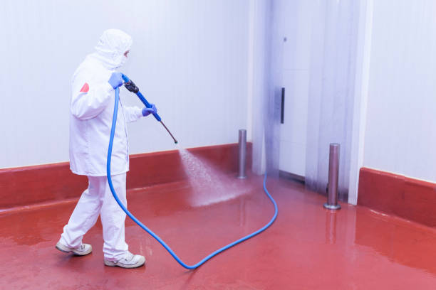 Professional Pressure Washing Services in Neptune City, NJ